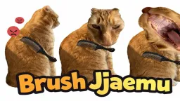 Brush Jjaemu