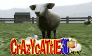 Crazy Cattle 3D img