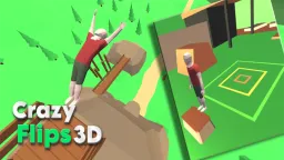 Crazy Flips 3D