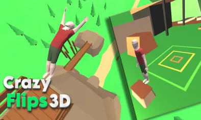 Crazy Flips 3D img