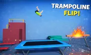 Trampoline Flip img