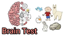 Brain Test: Tricky Puzzles