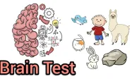 Brain Test: Tricky Puzzles img