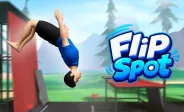 Flip Spot Flip Spot img