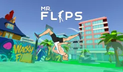 Mr. Flip