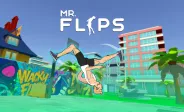 Mr. Flip img