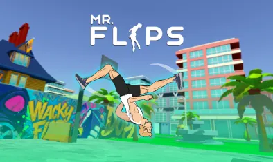 Mr. Flip img