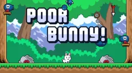 Poor Bunny