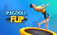 Ragdoll Flip img