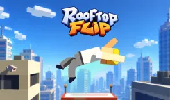 Rooftop Flip