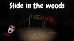 Slide in the Woods